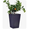  () Keter Rattan Planter M 55,4L, 