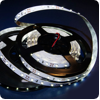   12  Neon-Night IP23, SMD 5050, 60 /, 