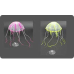    ()  Jelly Fish S, 6 