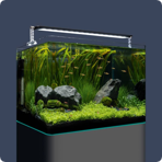   Dennerle Nano Tank Plant Pro, 70 