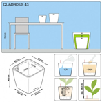   () Lechuza () Quadro LS 43 - 