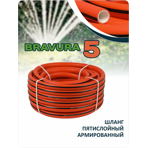   Bravura V 1