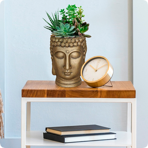   () Idealist Face Planter  (BUD-FP-GLD-19)