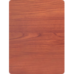 Дверь для турецкой бани DoorWood (Дорвуд) 70x210 АРТ Wood 50 прозрачное, правая