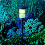     Garden Lights Locos, 