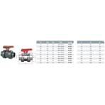      Cepex .20 (PTFE-FPM)